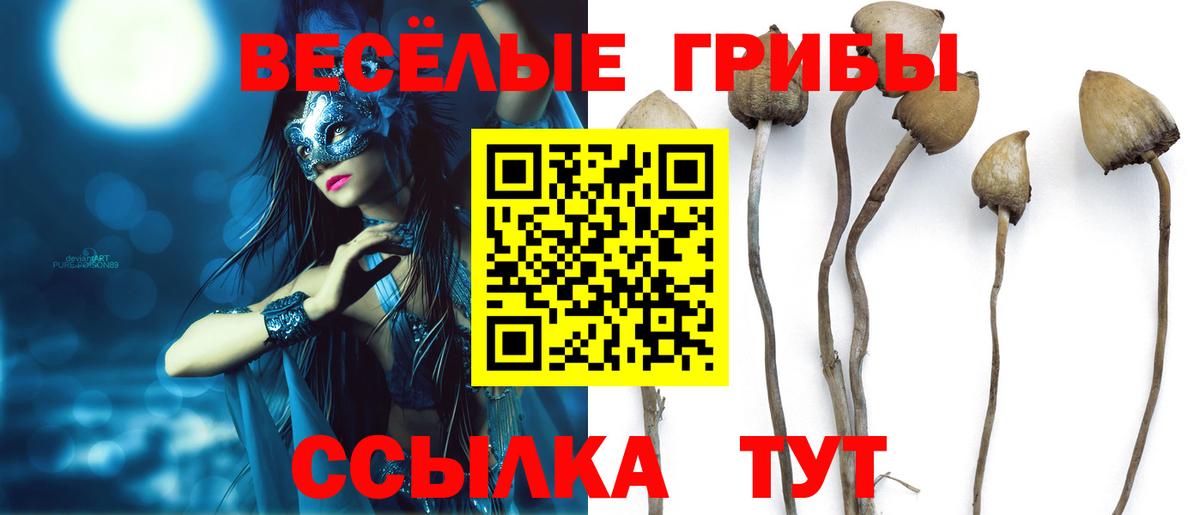 Апрелевка  Галлюциногенные грибы GOLDEN TEACHER  Галлюциногенные грибы MAGIC MUSHROOMS  Вход с VPN 